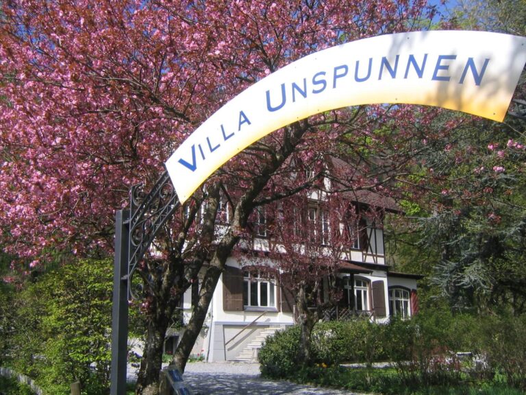 16a0a2df 5b03 418c a536 cb388eeddfe0 768x576