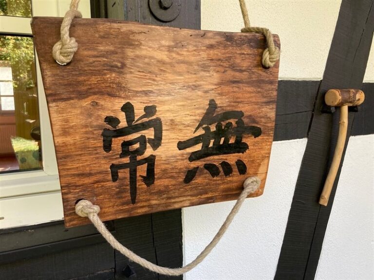 25314caf a5f1 42b0 af77 768a61acba90 optrez 768x576