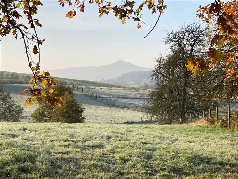 390ab10a a71f 4ee5 92a9 5b84ccb19d9b optrez 768x576