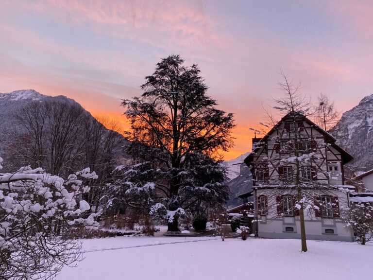 61f8bd1b 2838 47f7 a48b ab850c6ac880 768x576