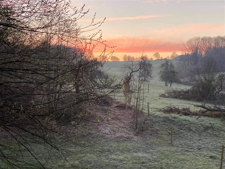 79e03201 4520 4b6f bf48 5efd8b40f531 optrez 768x576