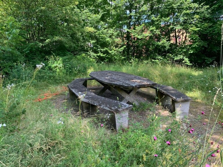 b8a4a2fb 97d7 4c59 a37d 91b339b98d99 768x576