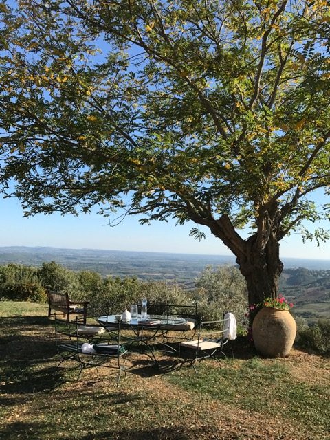 IMG 0336
