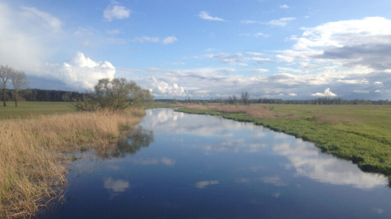 csm Havel1 abe86075f0 2 768x431