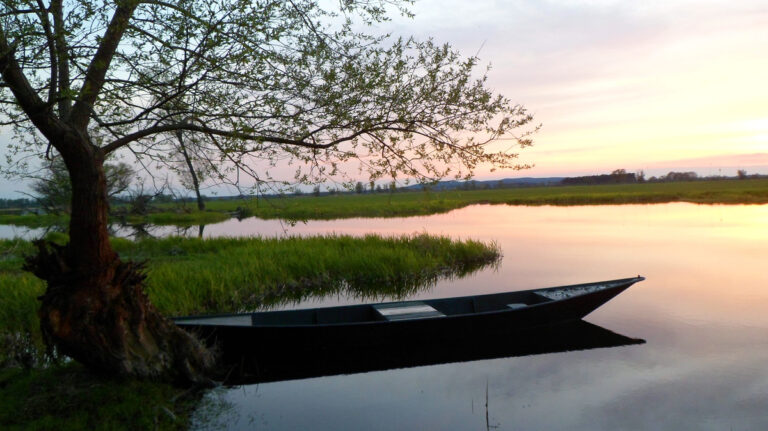 csm Havel2 0e92eceac1 768x431