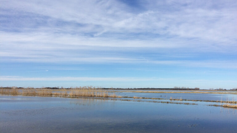 csm fruejahrshochwasser 6bd3c4a24f 2 768x431