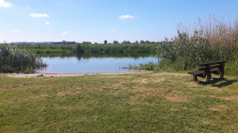 csm rastplatz havel ed1695ff7a 768x431