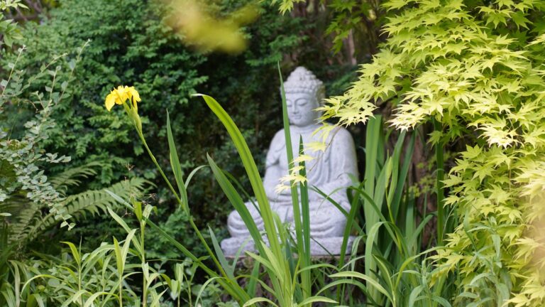 Lotos Vihara Garten Andrea Bonetti 768x432