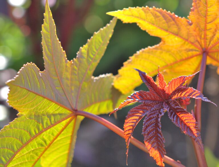 FotokursBlaetter1 001 768x586