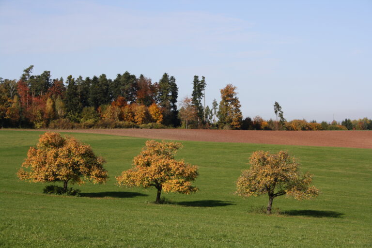 FotokursLandschaftsaufnahme 100 768x512
