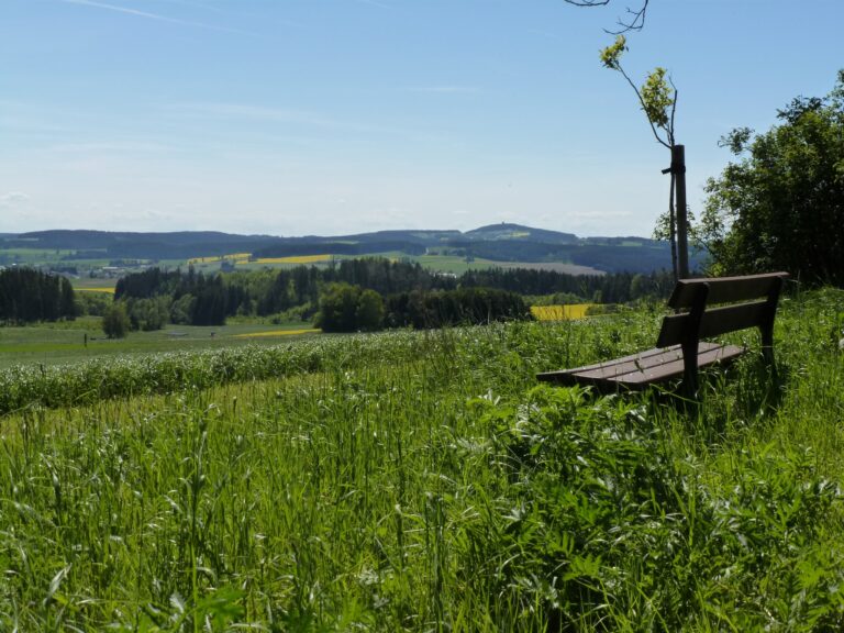 Spazierweg hinterm Haus 768x576