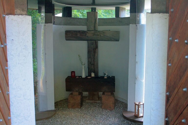 IMG 66611672332545547 bearbeitet 768x512