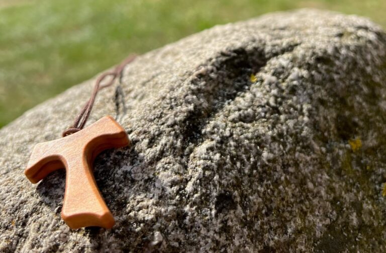 IMG 82291672332541344 geschnitten2 768x503