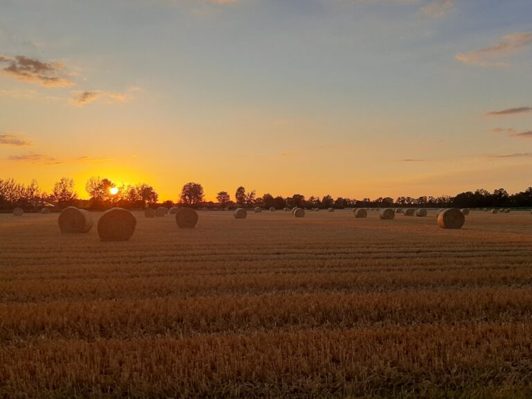 12. Landschaft 6a 768x576