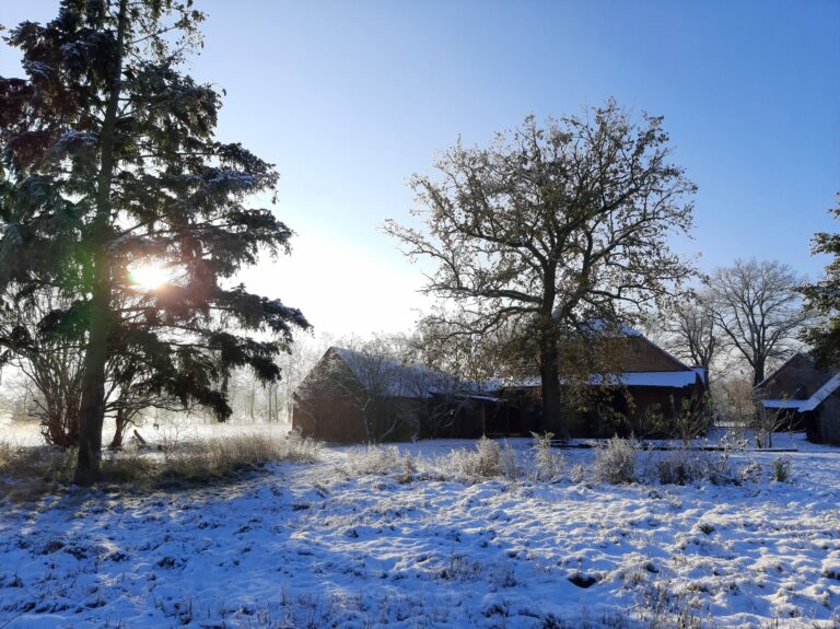 14. Winter HofTotale 2 768x575