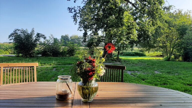 3. WoMoStellplatz 1 768x432