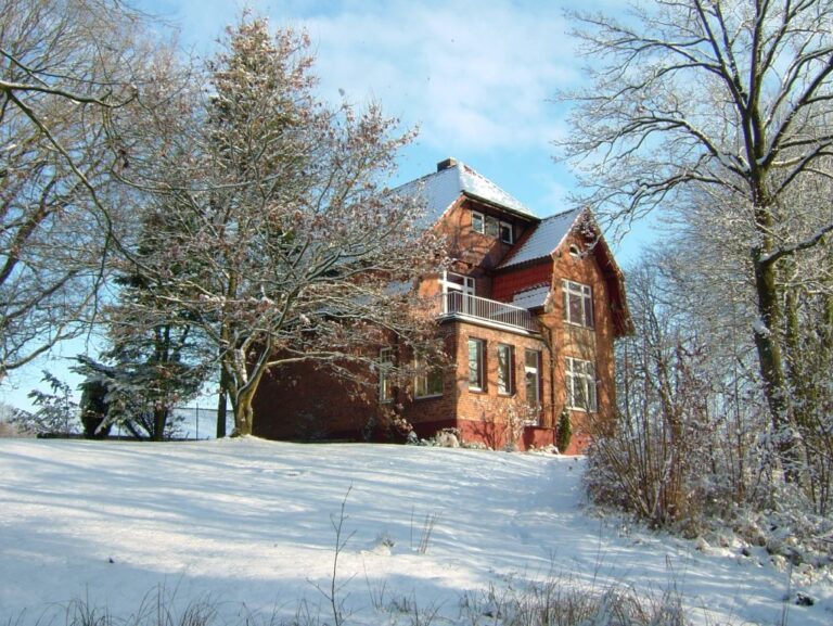 3564555 orig 768x577