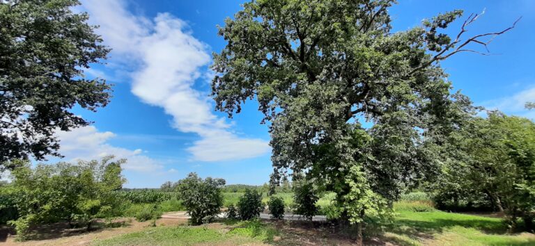 4. WoMoStellplatz 2 768x354