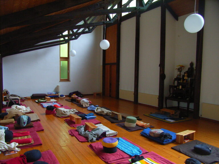 4557255 orig 768x576