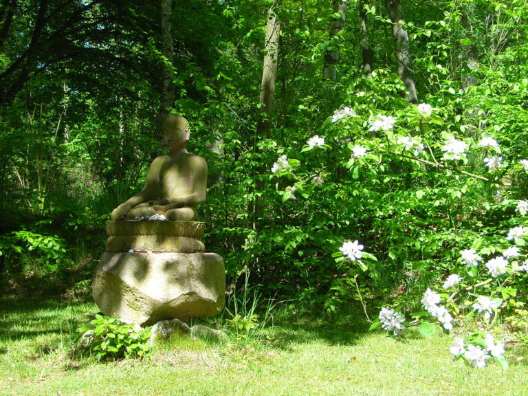 7483522 orig 768x576