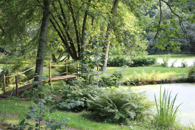 8703261 orig 768x512