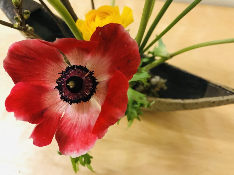 4370DEC5 740D 4263 8604 A2879430F2C3 1 201 a 768x576