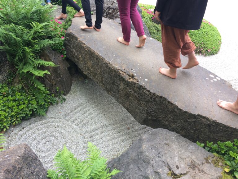 719F0280 3E21 40C1 AA24 FEED3C2637BE 768x576