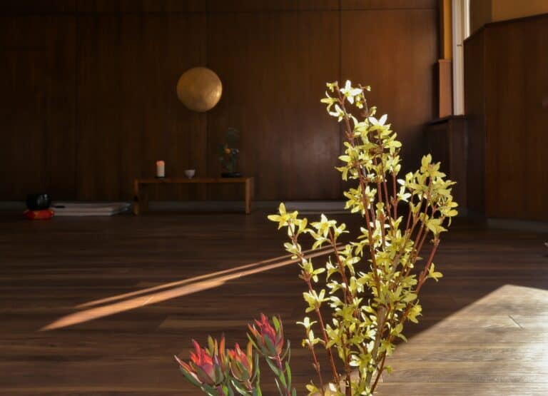 7C7AEF9D 83F2 4D62 8596 2216E63C605C 768x555