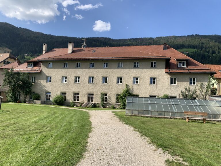 IMG 1851 768x576