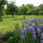 19 05 Gartenblick bfl 2000px 150x150