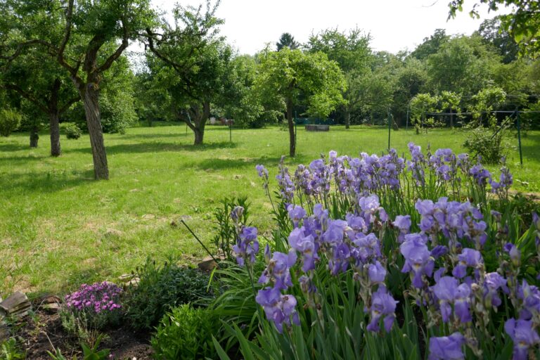 19 05 Gartenblick bfl 2000px 768x512