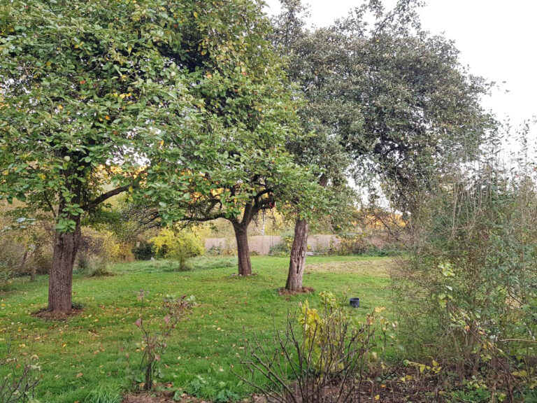 Herbst Oase hell 768x576